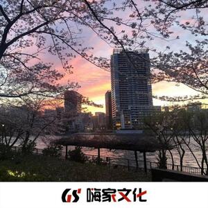 苏毅然 热播英文FK迷幻鼓王  DJ版铃声